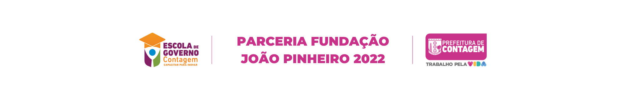 parceria fundação João pinheiro 2022